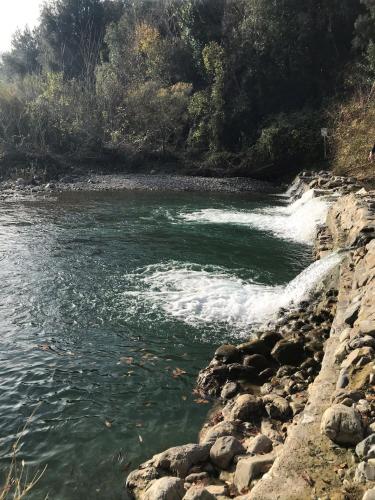 a river with water rushing down a rocky shore at Da Monica in Canneto