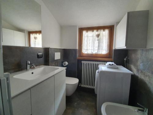 ein Bad mit einem Waschbecken und einem WC in der Unterkunft Appartamento Divina in Valdisotto