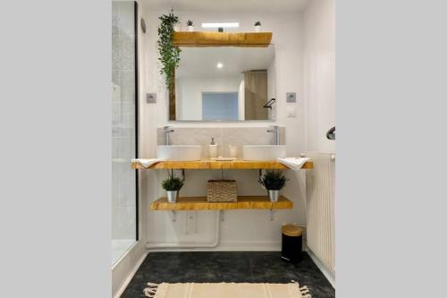 a bathroom with a sink and a mirror at Charmant T3 cœur de ville avec parking in Limoges