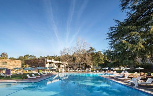 Πισίνα στο ή κοντά στο Flamingo Resort & Spa