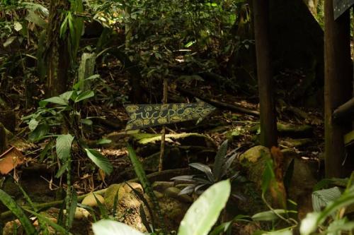 a sign sitting in the middle of a forest at Remo Hostel in Parati-Mirim