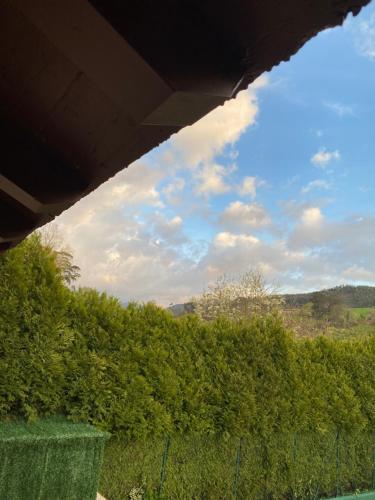 a view of a blue sky and some bushes at Posada y Apartamentos Trebuesto de Guriezo in Trebuesto