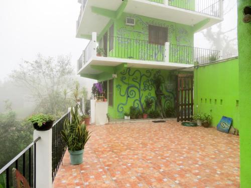 une maison avec un mur vert et un balcon dans l'établissement Casa Verde Xilitla By Rotamundos, à Xilitla