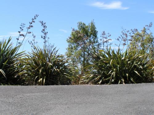 2 Views at Tasman