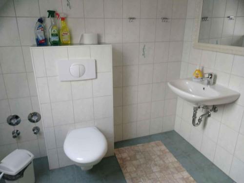 a bathroom with a toilet and a sink at Apartment Gingst 1 in Gingst
