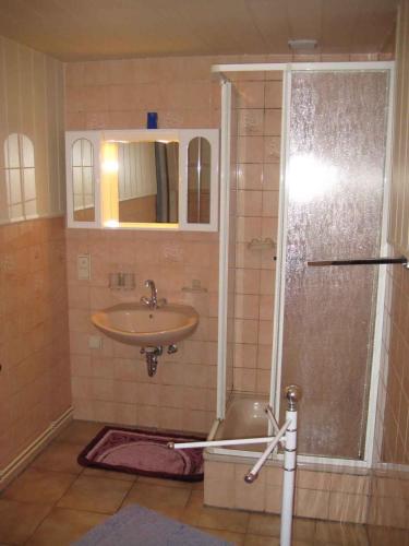 ein Bad mit einem Waschbecken und einer Dusche in der Unterkunft Apartment Zirkow 6 in Schmacht