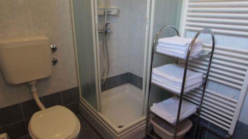 a bathroom with a toilet and a shower with towels at Apartment Malinska, Primorje-Gorski Kotar 20 in Sveti Vid-Miholjice