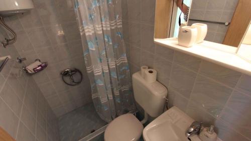 a bathroom with a white toilet and a shower at Apartment Porat 1 in Porat