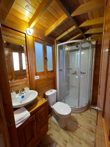 a bathroom with a shower and a toilet and a sink at GLAMCAPTOUR in Guatavita