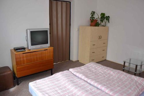Μια τηλεόραση ή/και κέντρο ψυχαγωγίας στο Apartment in Jablonec nad Jizerou 2142