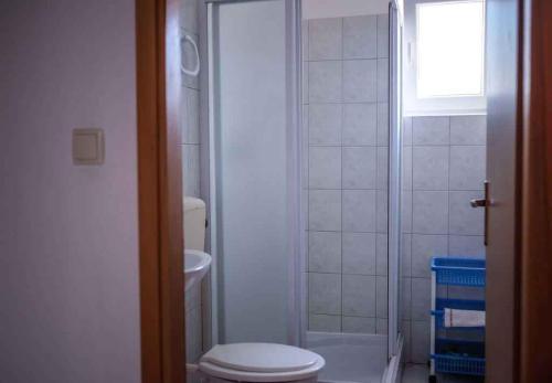 a bathroom with a toilet and a shower at Apartment Barbat, Rab 1 in Barbat na Rabu