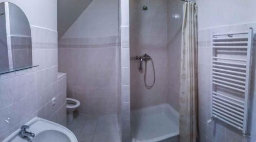 a bathroom with a shower and a toilet and a sink at Apartment Rokytnice nad Jizerou 6 in Hranice