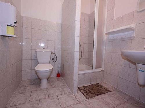 uma casa de banho com um WC e um lavatório em Apartments in Desna/Isergebirge 1786 em Šumburk nad Desnou