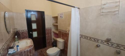 a bathroom with a toilet and a sink and a shower at Casa Fernery in Valladolid