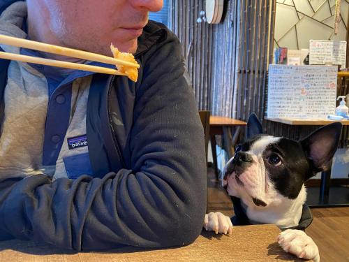 a man eating a piece of food with a small dog at SnowDog Village in Niseko
