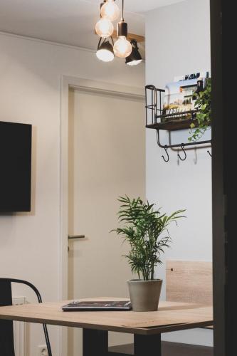 a table with a potted plant on top of it at Das Schlafwerk Stuttgart-Nord VOLLDIGITALES HOTEL-SELF-CHECK IN - keine Rezeption-LowBudget-cashless in Korntal-Münchingen