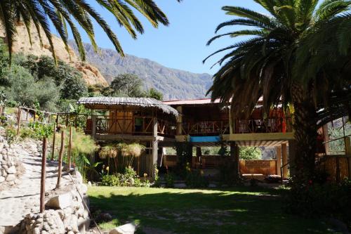 a large building with a palm tree in a yard at Paraiso Las Palmeras Lodge in Cabanaconde