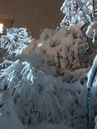 a pile of snow on the side of a tree at Mandala in Mount מנדלה בחרמון סוויטה in Majdal Shams