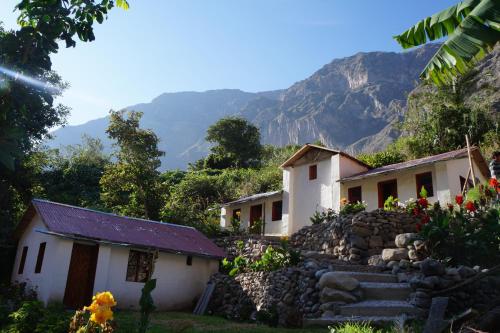 a group of houses with mountains in the background at Paraiso Las Palmeras Lodge in Cabanaconde