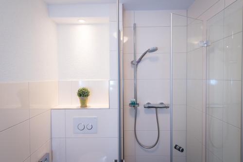 ein Bad mit einer Dusche und einer Glastür in der Unterkunft Gästehaus Höferlin in Bad Bellingen