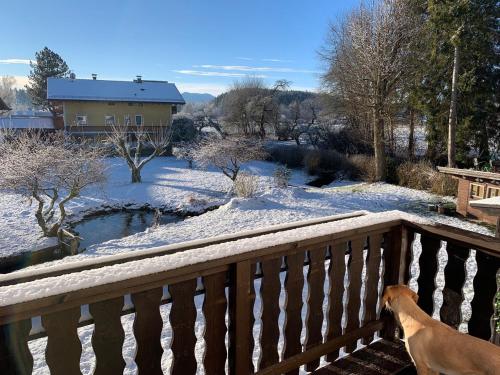 Huberhof Meisham – Photos 2