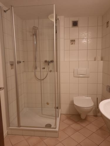 a bathroom with a shower and a toilet at Gästehaus Höferlin in Bad Bellingen
