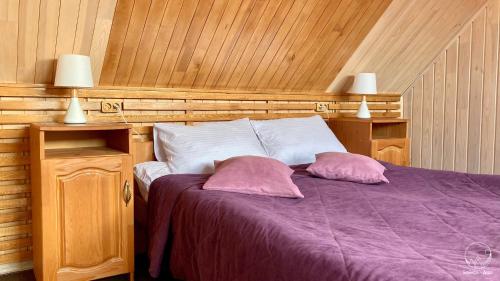 Llit o llits en una habitació de Baykal-Dar