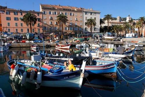 a bunch of boats are docked in a harbor at Charmant T2 au coeur de la rue Fesch in Ajaccio