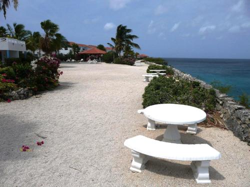 a row of white benches sitting on the beach at Marazul Dive Resort in Sabana Westpunt