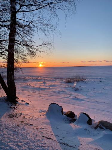 a winter sunset over the water with snow on the ground at Trepimäe Holiday House in Vehendi