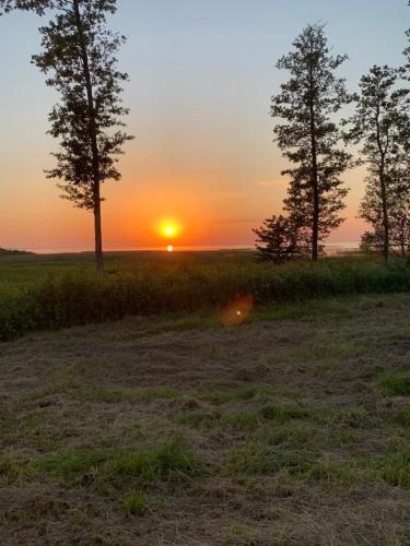 a sunset in a field with trees in the background at Trepimäe Holiday House in Vehendi