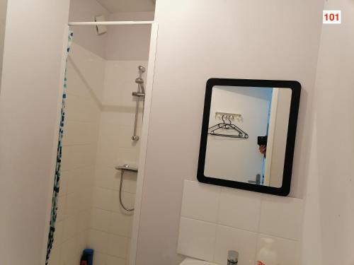 a bathroom with a mirror and a shower at Immoappart in Albi