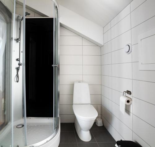 a bathroom with a toilet and a glass shower at Penthouse Leilighet TorskenSenteret in Torsken