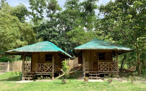 Κήπος έξω από το Back Trippers Inn