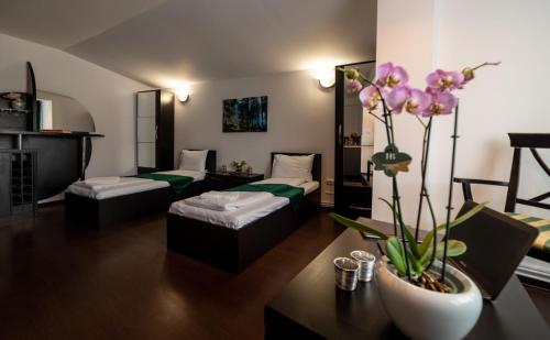 Gallery image of Escala Rooms in Ghimbav
