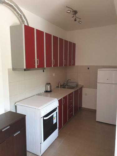 Cuina o zona de cuina de Apartman Nidžo