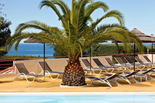 a palm tree sitting next to chairs next to a pool at Hôtel & Spa Les Mouettes in Argelès-sur-Mer