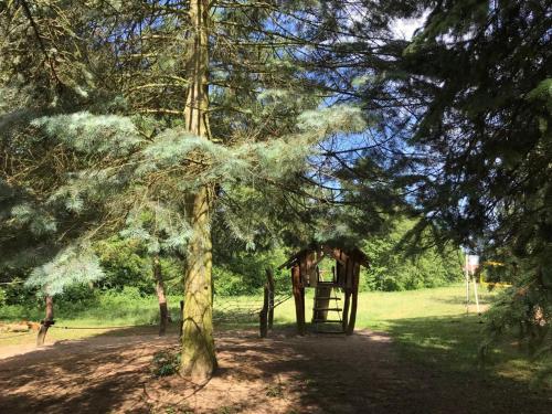 a tree with a ladder next to a shed at Familienferienpark Dambeck in Kratzeburg