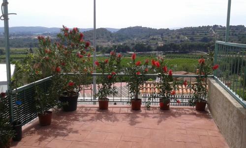 a balcony with flowers in pots on a fence at Casa Gabriel in Picassent
