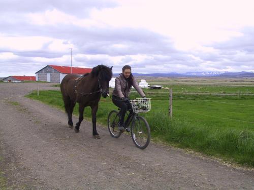 a woman riding a bike with a horse on a dirt road at Cabin 3 at Lundar Farm in Varmaland