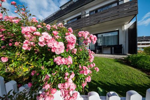 Das Frühstückshotel Büsum photo 75