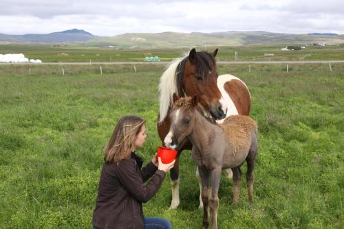 a woman is petting a horse and a baby horse at Cabin 3 at Lundar Farm in Varmaland