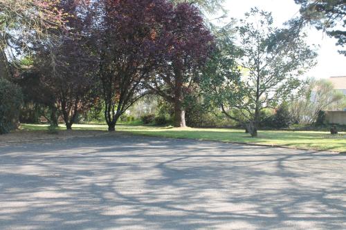 a tree lined road with trees in a park at Don Quichotte in Vallet
