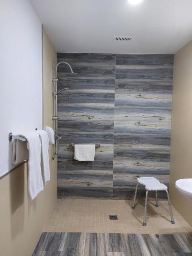 a bathroom with a wood paneled wall with a shower at Hotel Don Gonzalo in Montilla