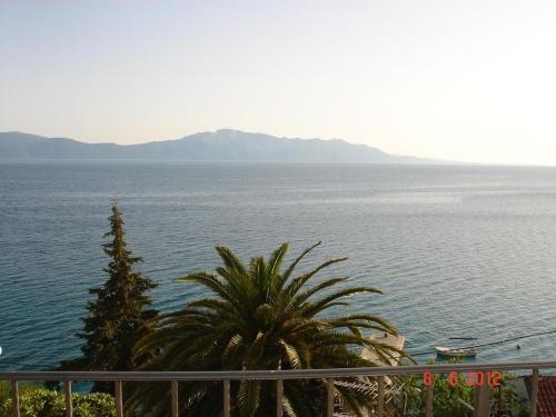 a view of the ocean with a palm tree at Studio apartment in Brist with Seaview, Balcony, Air condition, WIFI (4333-2) in Brist