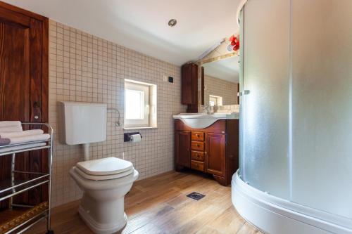 une salle de bains avec toilettes, lavabo et douche dans l'établissement Apartments Dario, à Porat