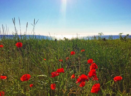 Strandresort Prora - WG 114 mit Meerblick photo 24