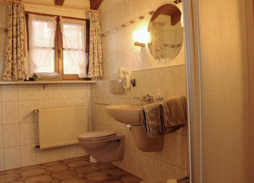 a bathroom with a toilet and a sink at Erlebnisgastronomie Lochmuhle in Eigeltingen