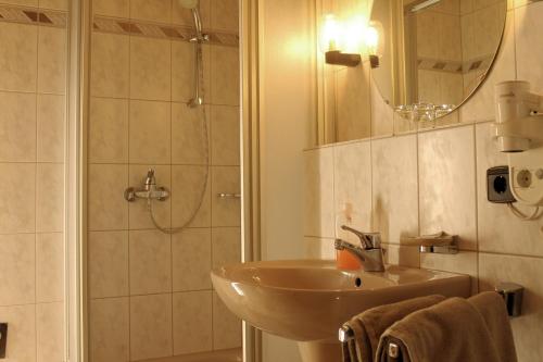 y baño con lavabo y ducha. en Erlebnisgastronomie Lochmuhle en Eigeltingen