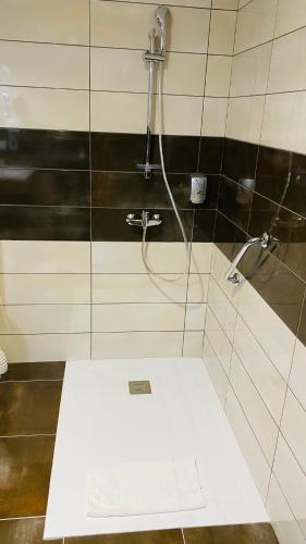 a bathroom with a shower with a glass door at Hotel Martinez Grenay in Grenay